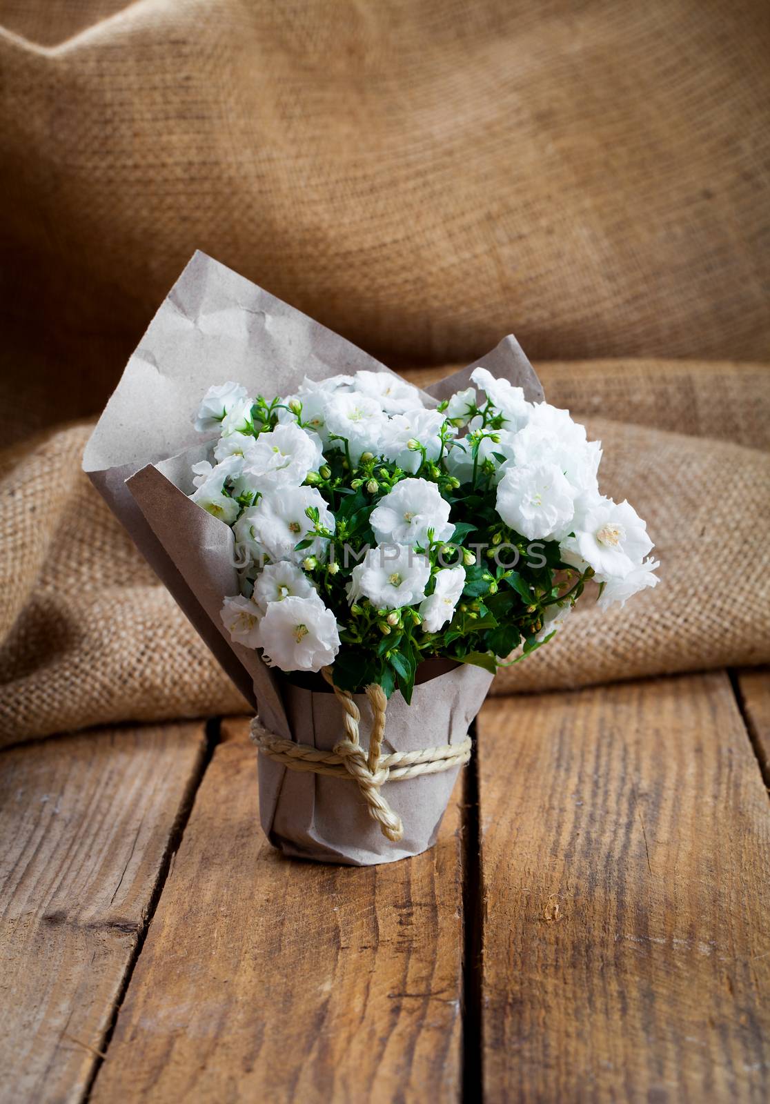 white Campanula terry flowers in paper packaging, on sackcloth, wooden background