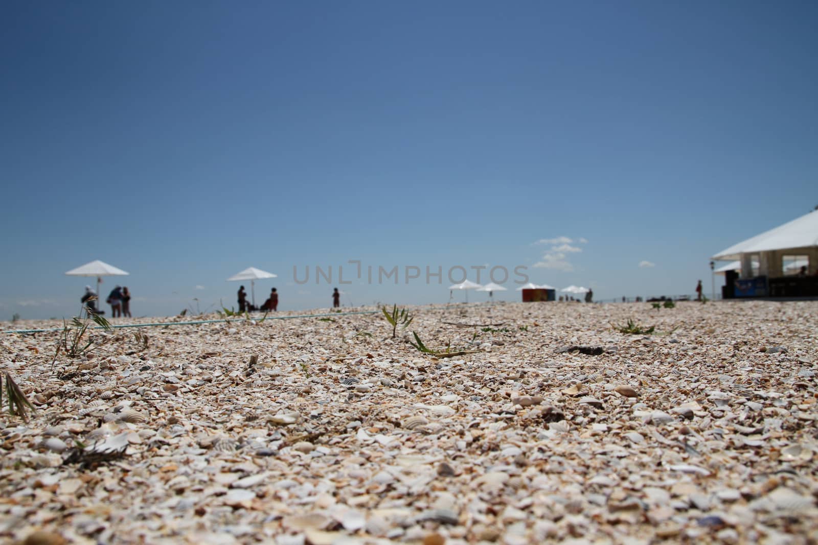 Shelly beach tourism background with blurred beach umbrellas. Sea and relaxation