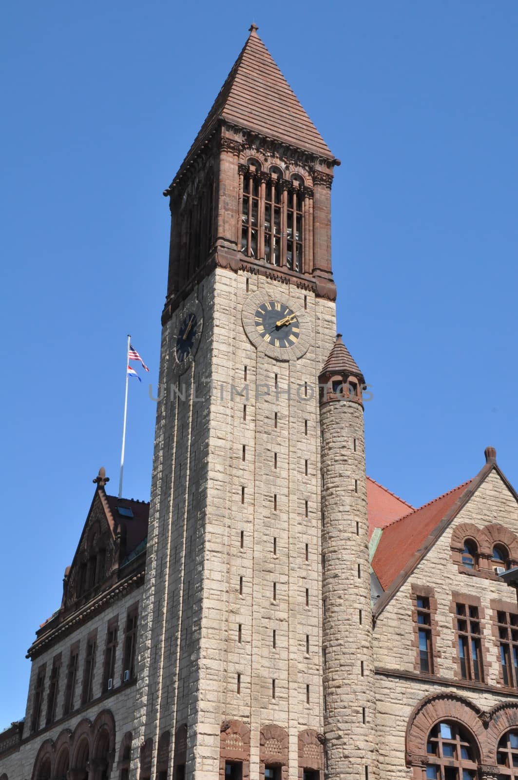 Albany City Hall in New York State