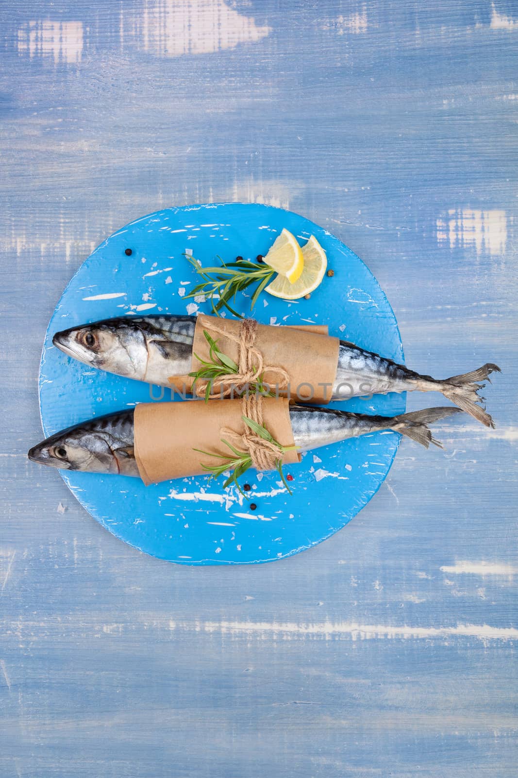 Mediterranean seafood concept in blue. by eskymaks