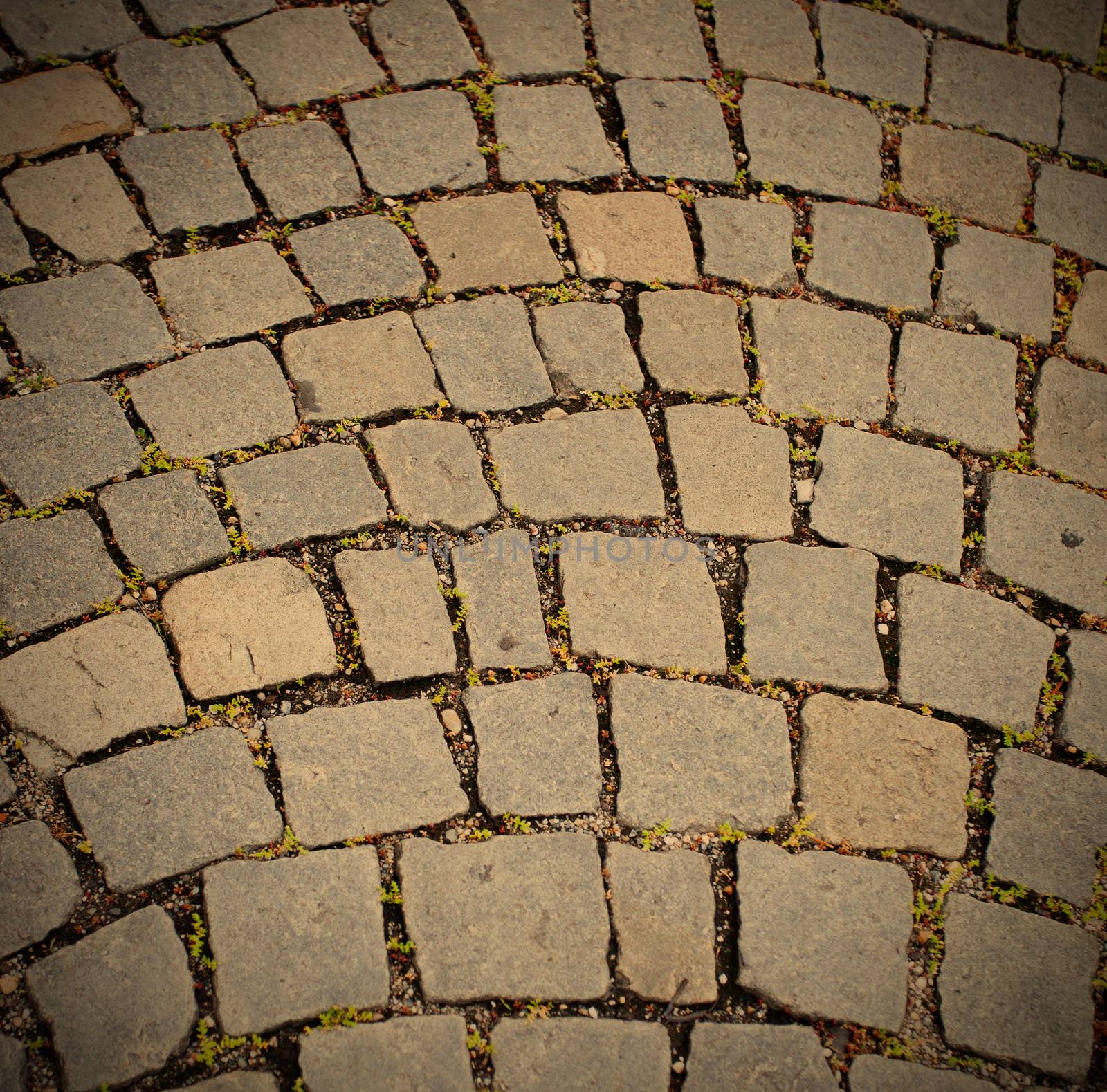 Pavement of granite in the capital of Austria - Vienna, instagram image style