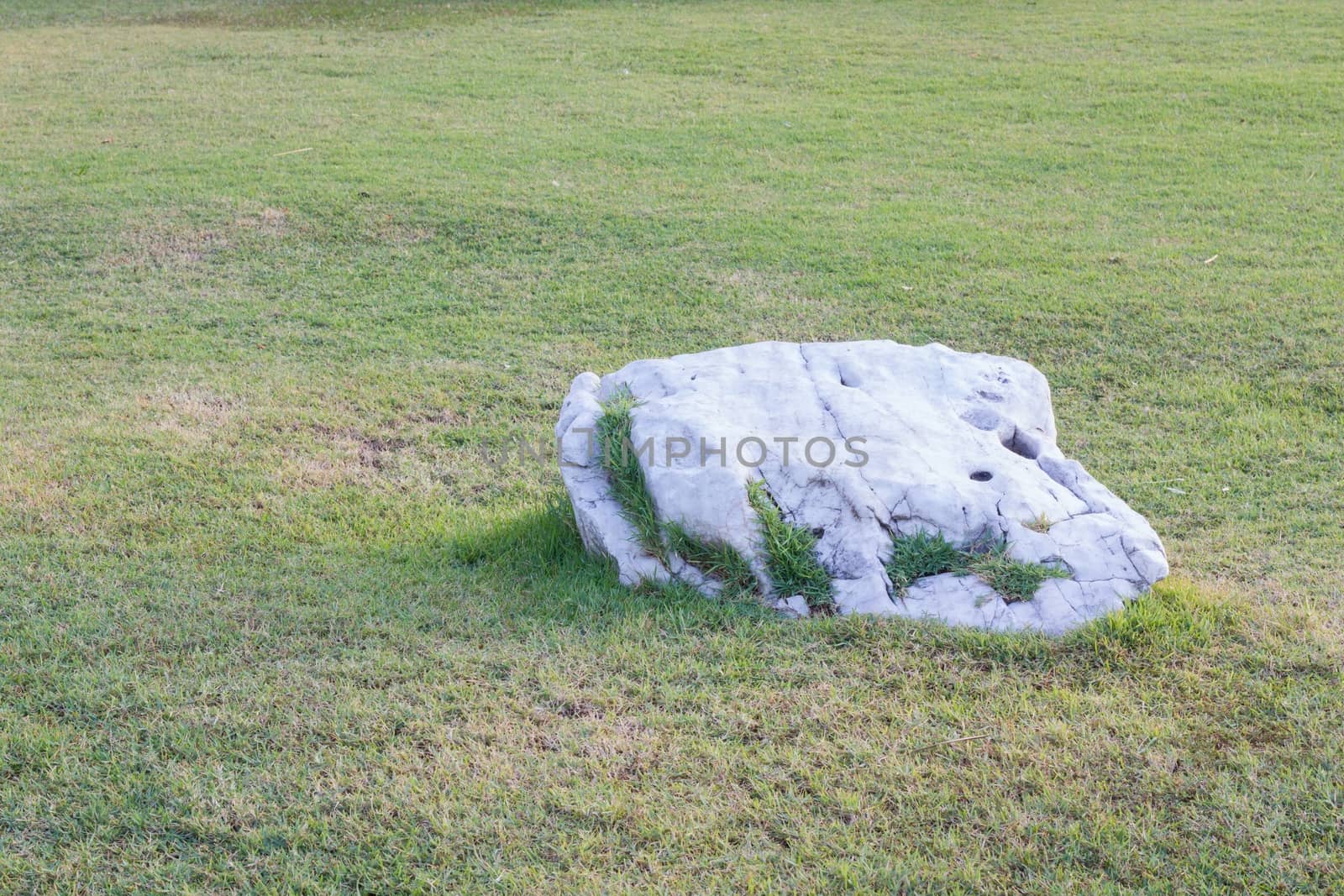 white stone on green grass field background