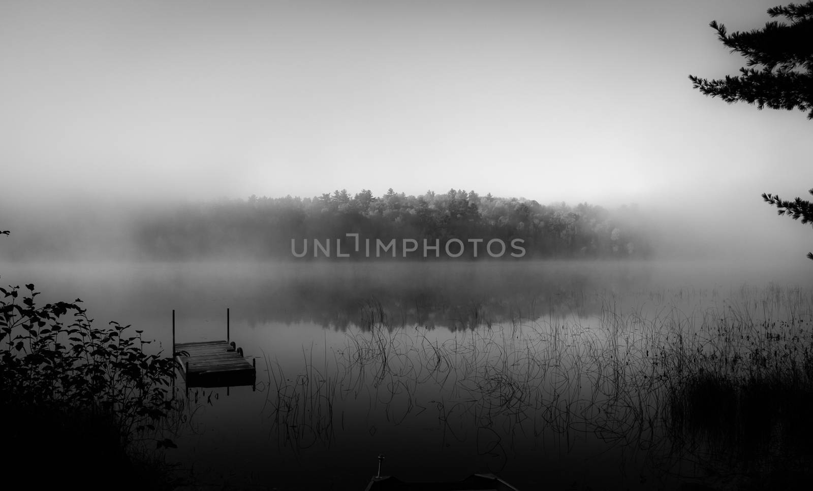 Fog on a northern Ontario Lake.  Stranded swimming dock in  black and white. by valleyboi63
