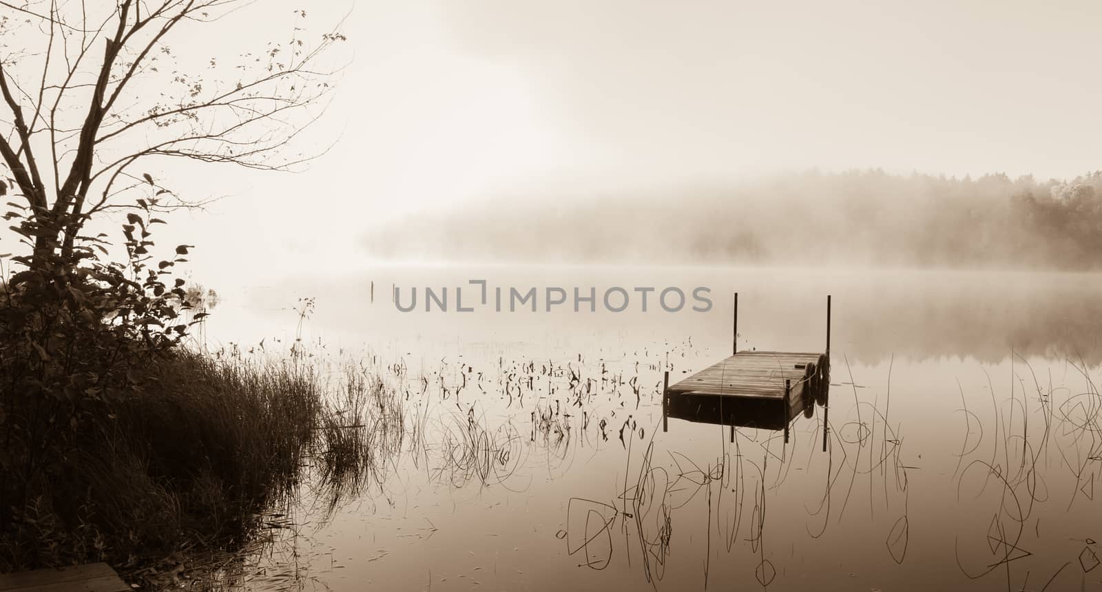 Morning Fog on the lake in cottage country in antique light. by valleyboi63
