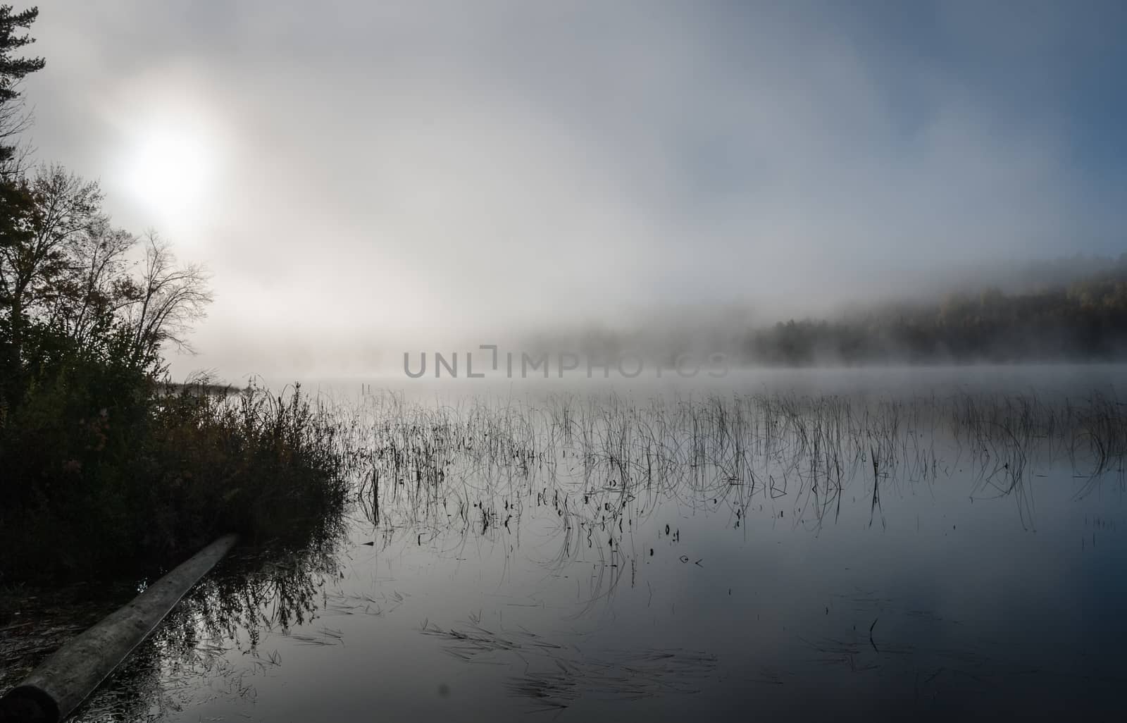 Morning Fog on the lake in cottage country by valleyboi63