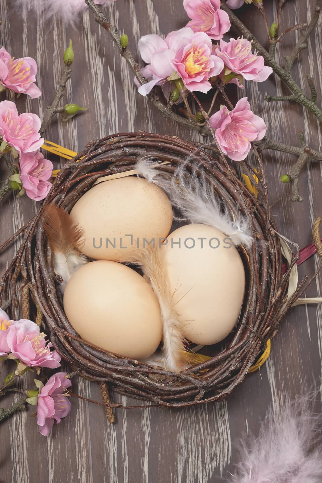 Eggs in a spring blossom nest. Still life of fresh organic eggs in a spring blossom nest. Macro, selective focus. Done with a vintage retro filter