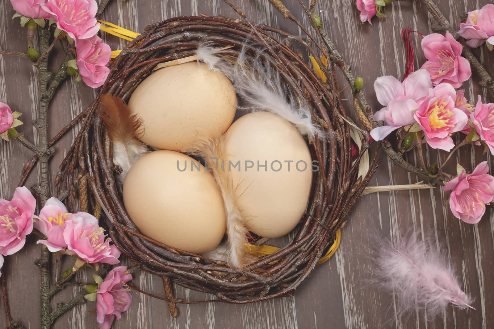 Eggs in a spring blossom nest. Still life of fresh organic eggs in a spring blossom nest. Macro, selective focus. Done with a vintage retro filter