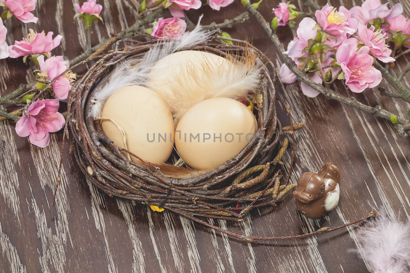 Eggs in a spring blossom nest by Slast20