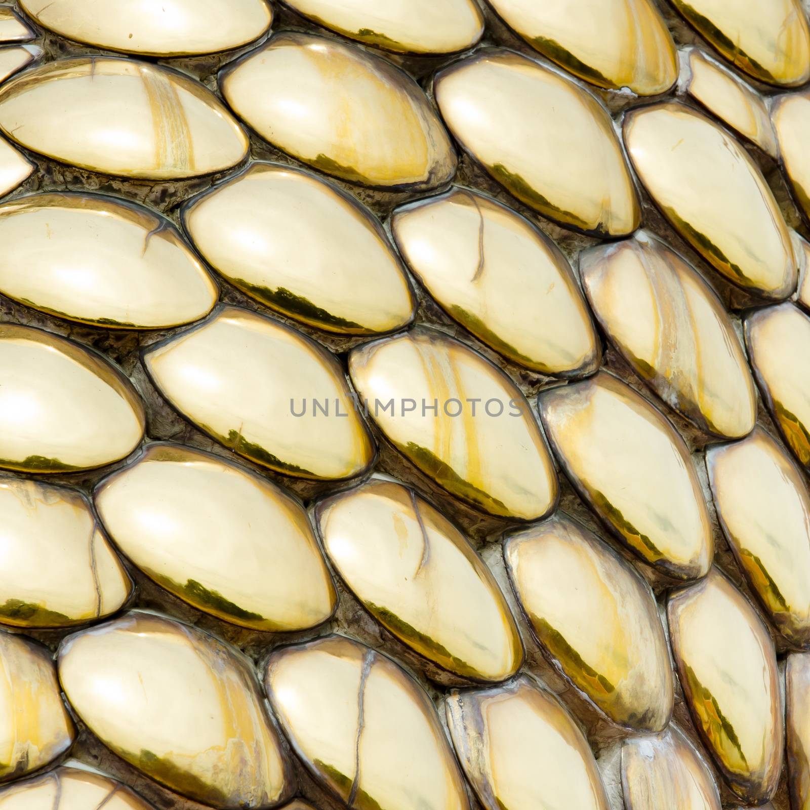 Round gold color background texture