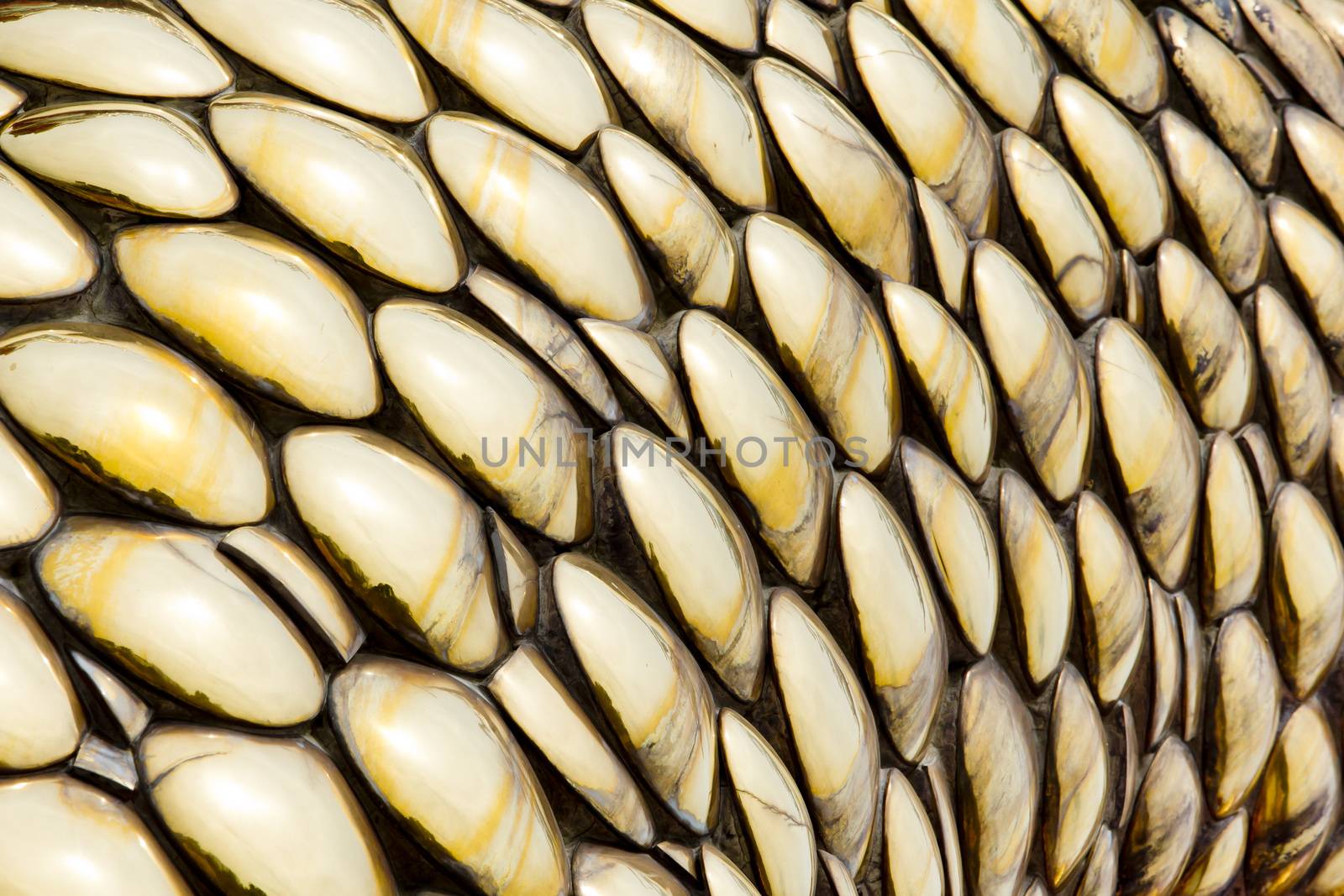 Round gold color background texture