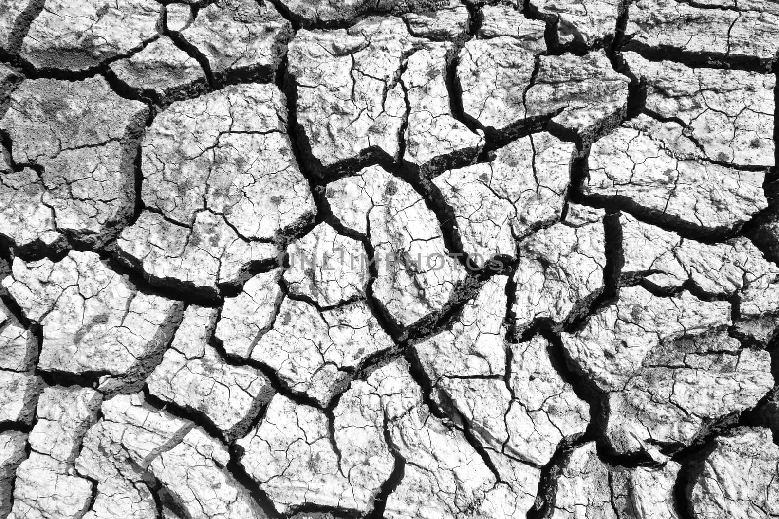Dried and Cracked ground