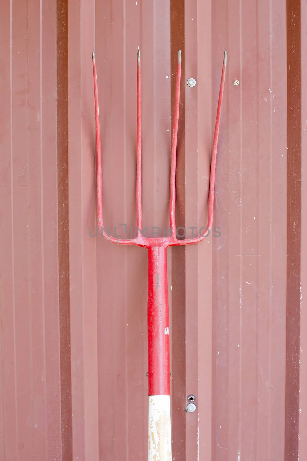 Rake , isolated on red wall , harrow