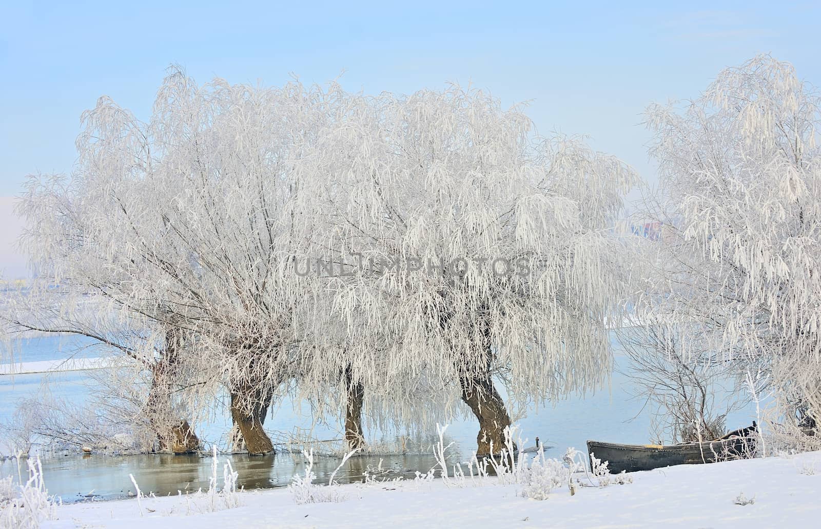 Frosty winter trees and boat near Danube river