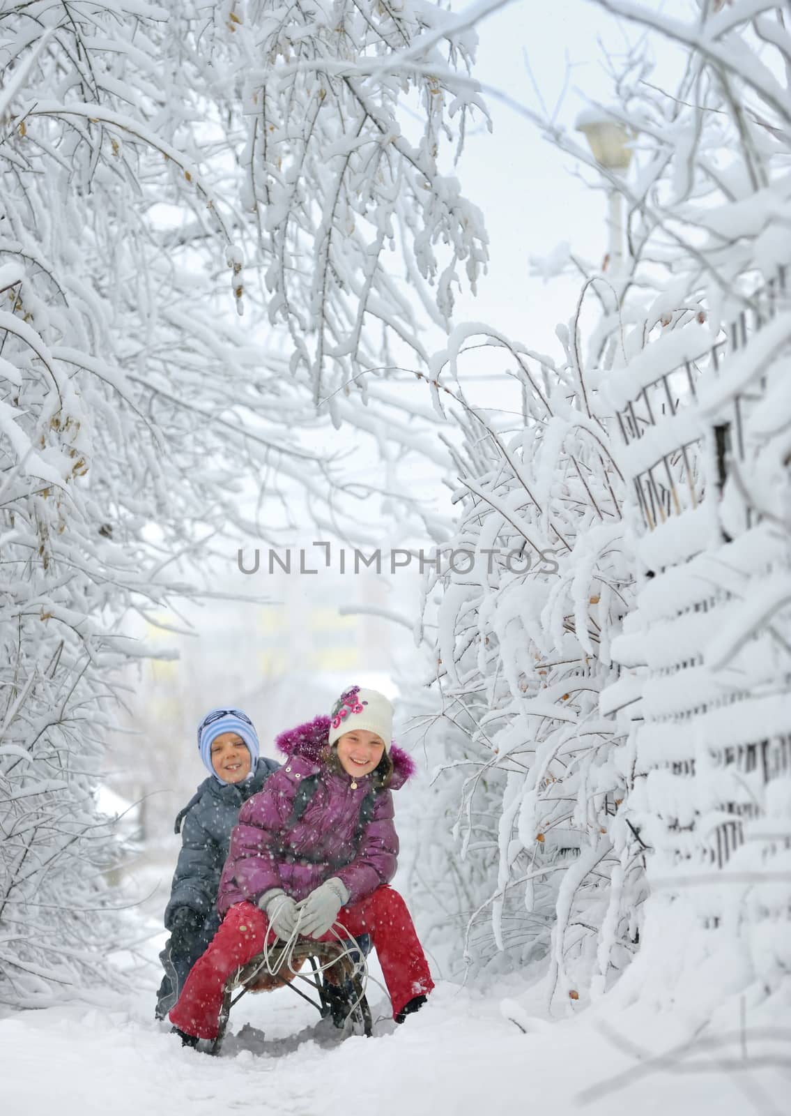 Boy And Girl at sledging Through Snowy in a fairytale landscape