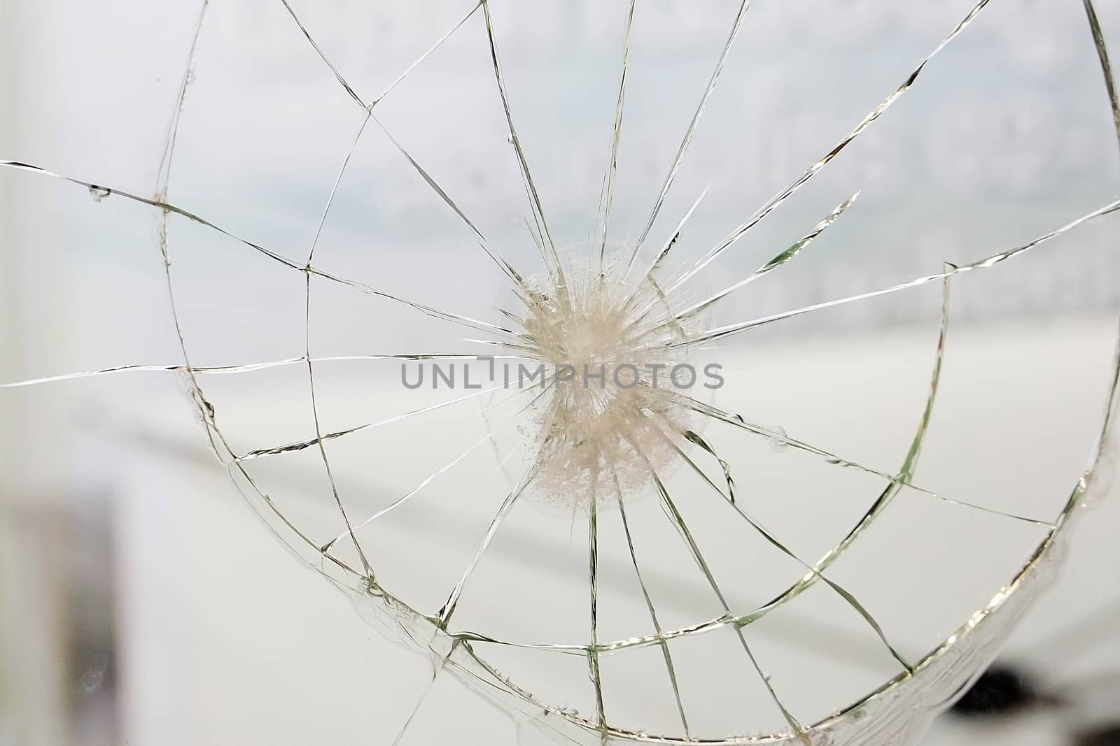 spider web texture background,cobweb