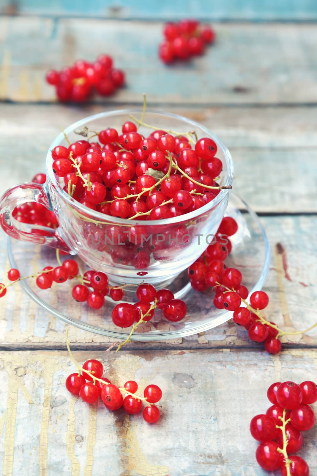 much fresh red currant in a transparent cup