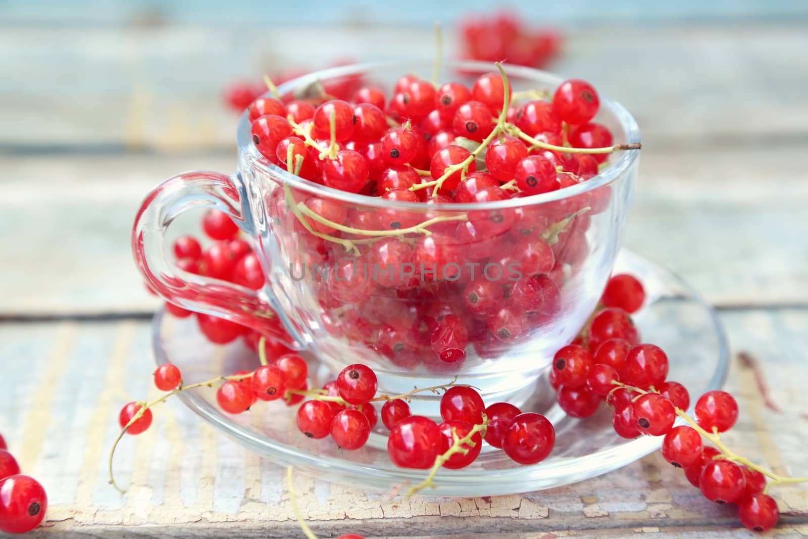 much fresh red currant in a transparent cup