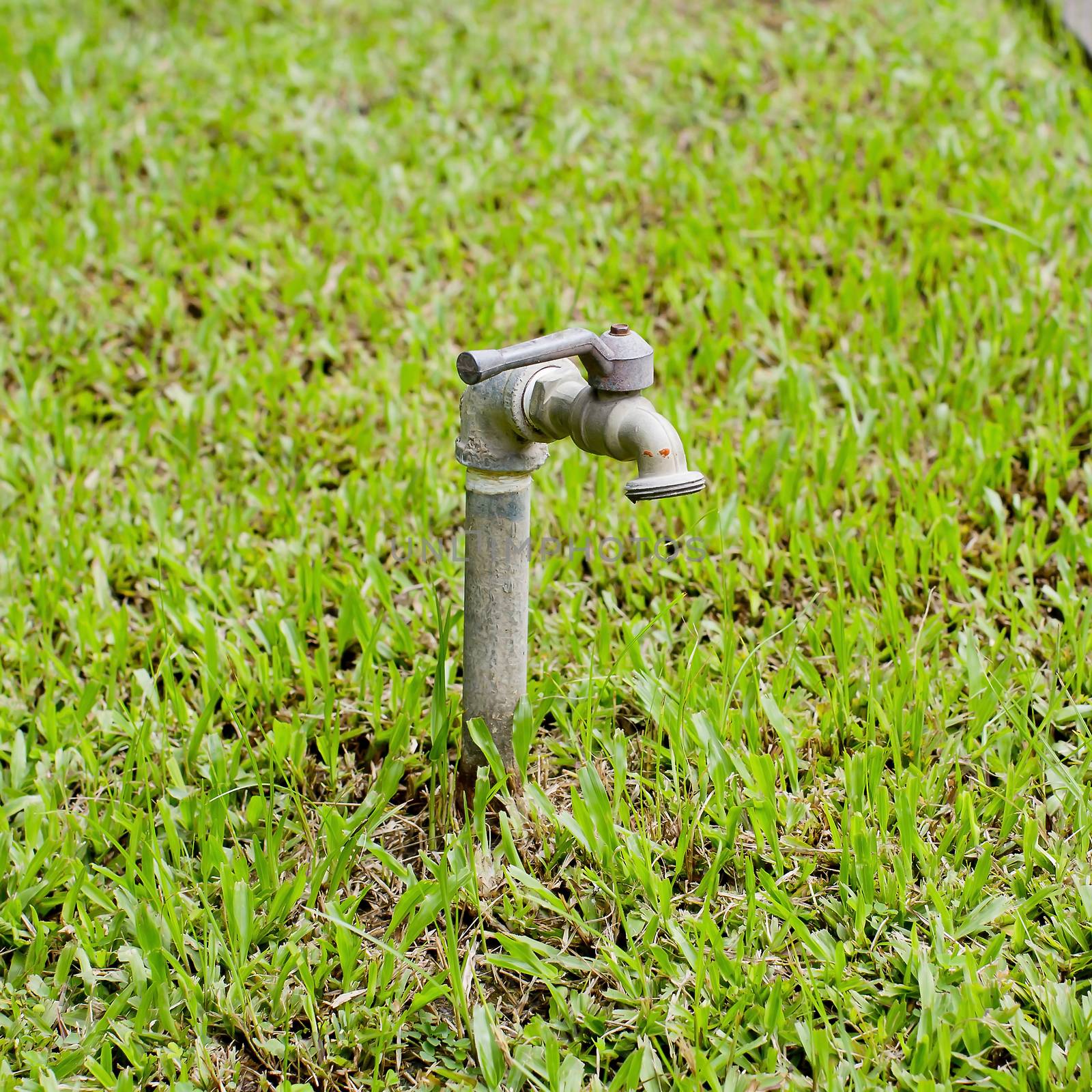 water tap with rubber tube on park by art9858