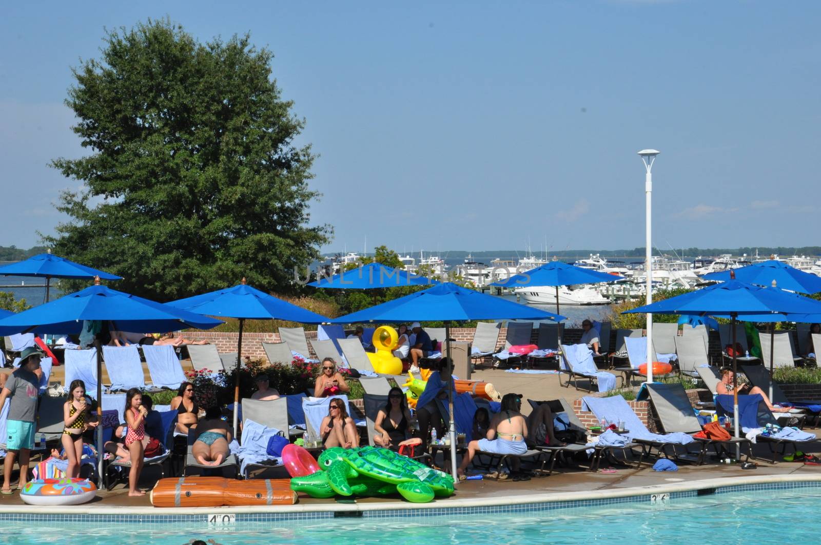 Poolside fun at the Hyatt Regency Chesapeake Bay resort in Cambridge, Maryland by sainaniritu