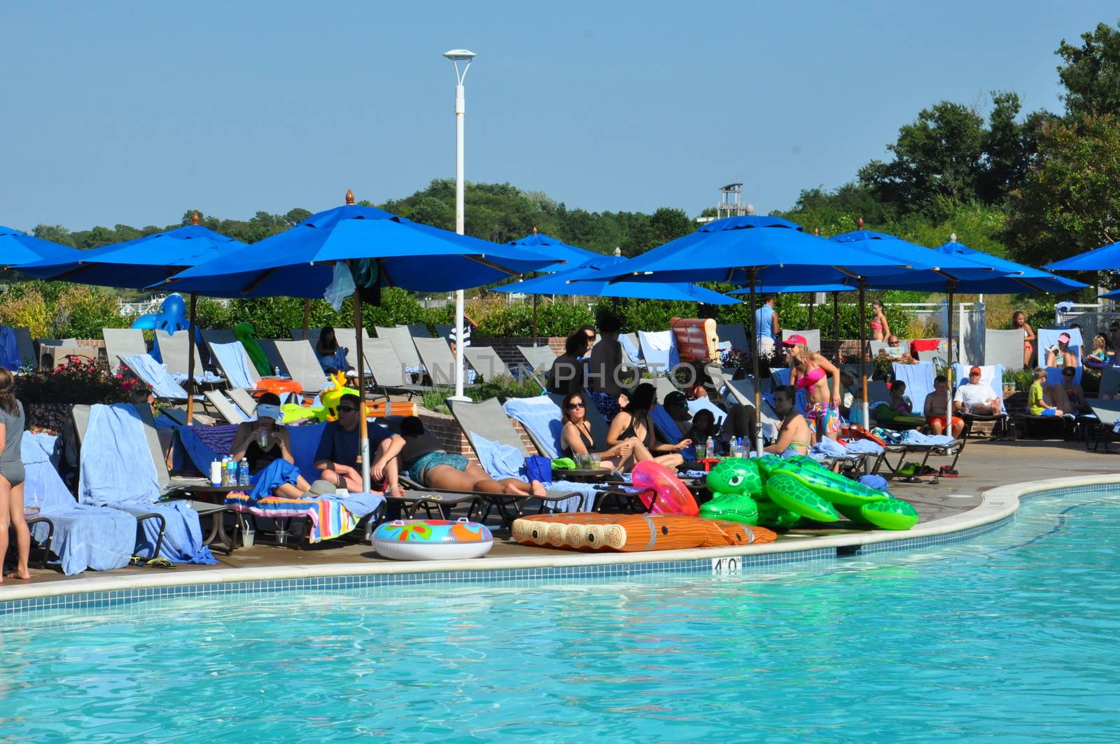 Poolside fun at the Hyatt Regency Chesapeake Bay resort in Cambridge, Maryland by sainaniritu