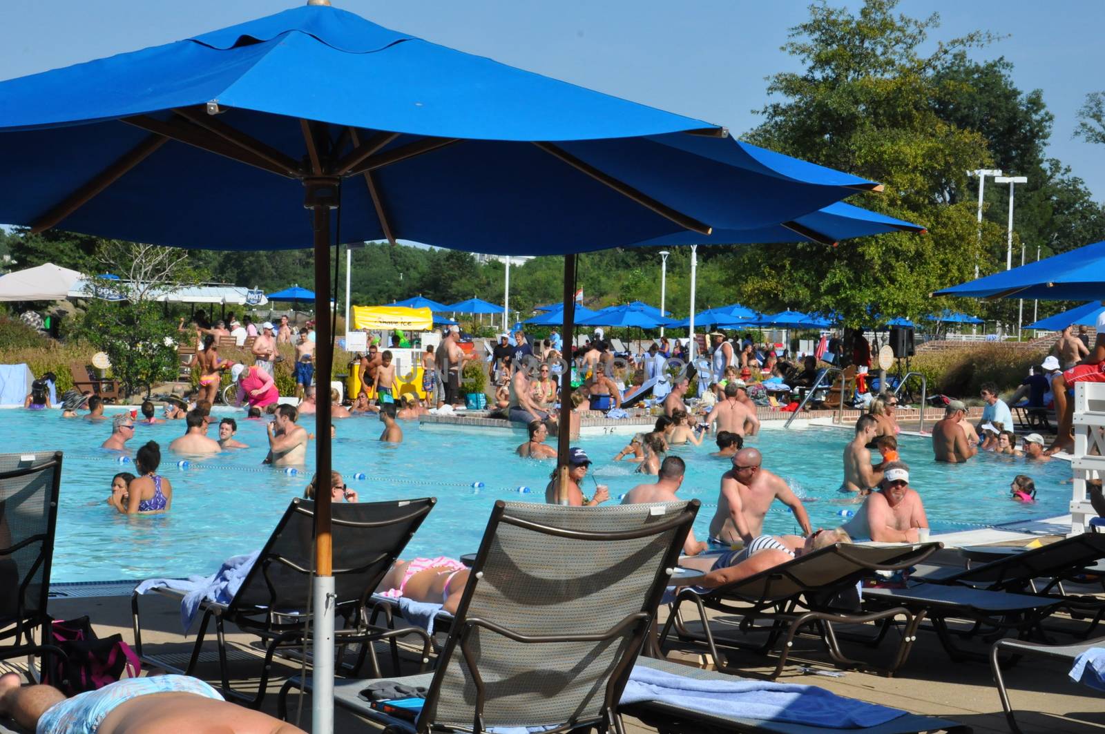 Poolside fun at the Hyatt Regency Chesapeake Bay resort in Cambridge, Maryland by sainaniritu