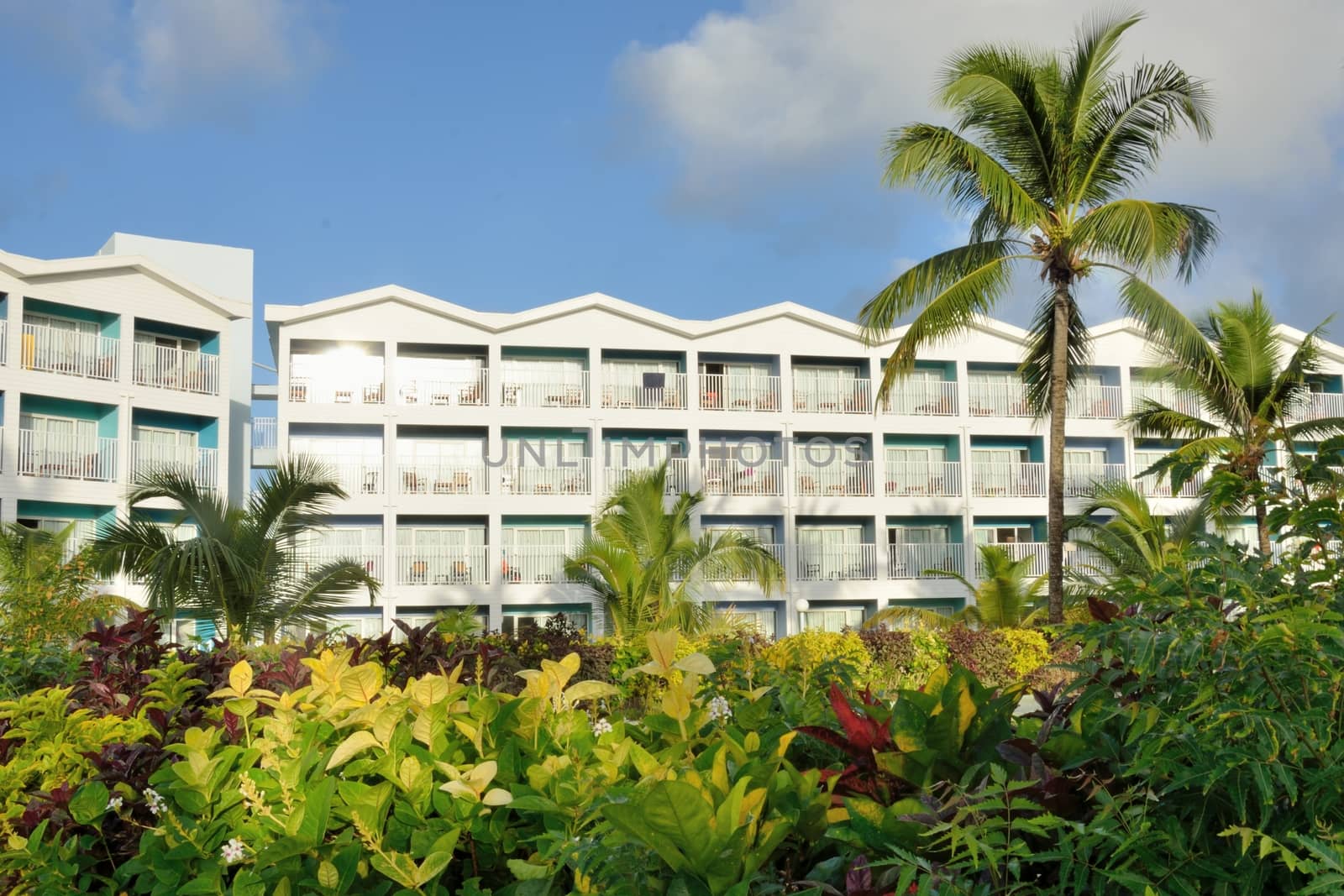 Caribbean hotel with greenery in foreground