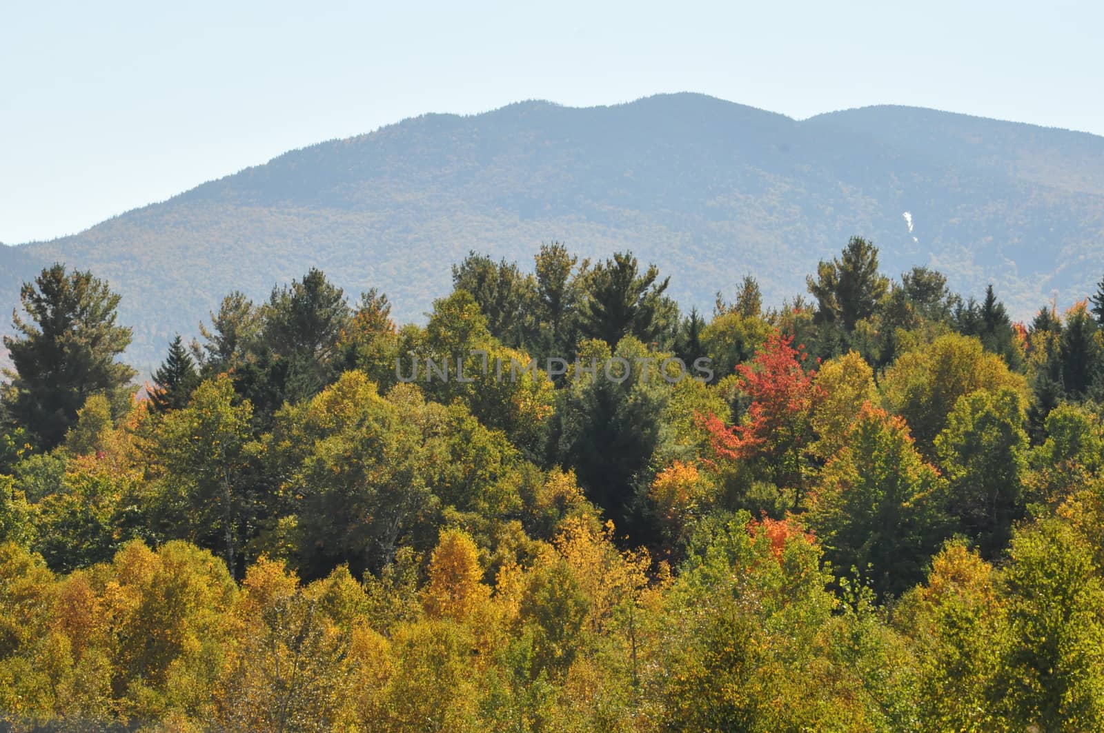 Fall Colors at the White Mountain National Forest in New Hampshire by sainaniritu