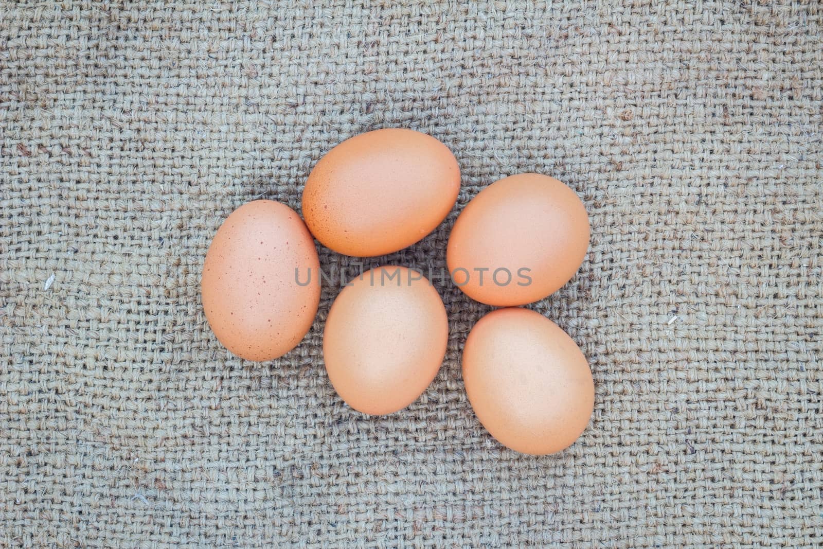  eggs on gunnysack  by a3701027