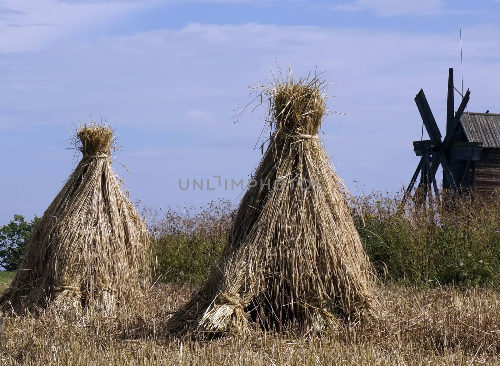 Field farm with sheaves of hay Russia.