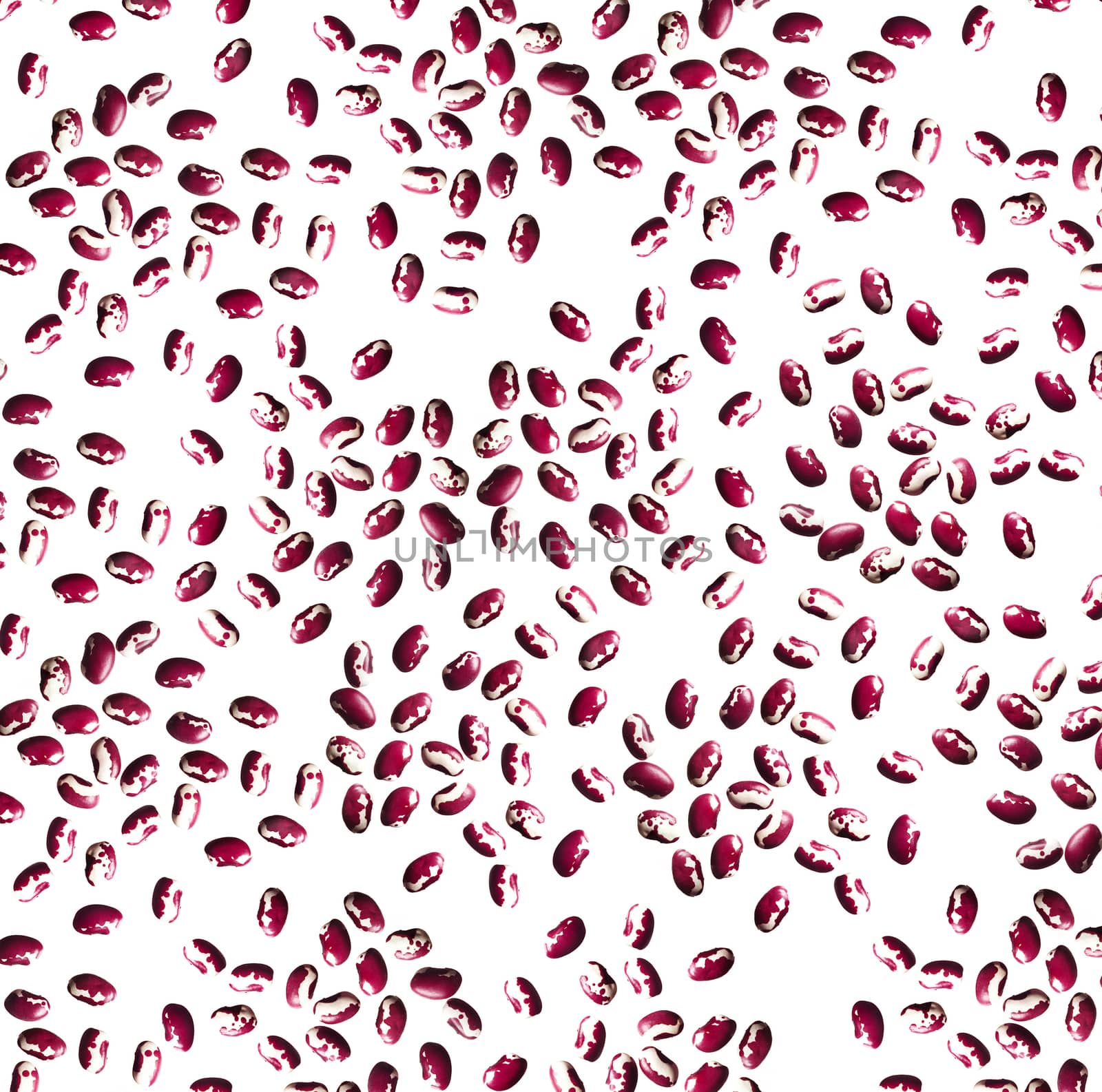 dried beans on white background