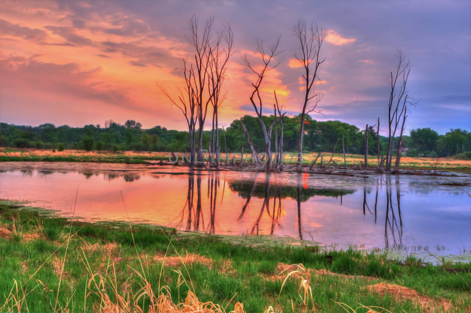 An HDR landscape of a lake in the meadow in soft focus by Coffee999