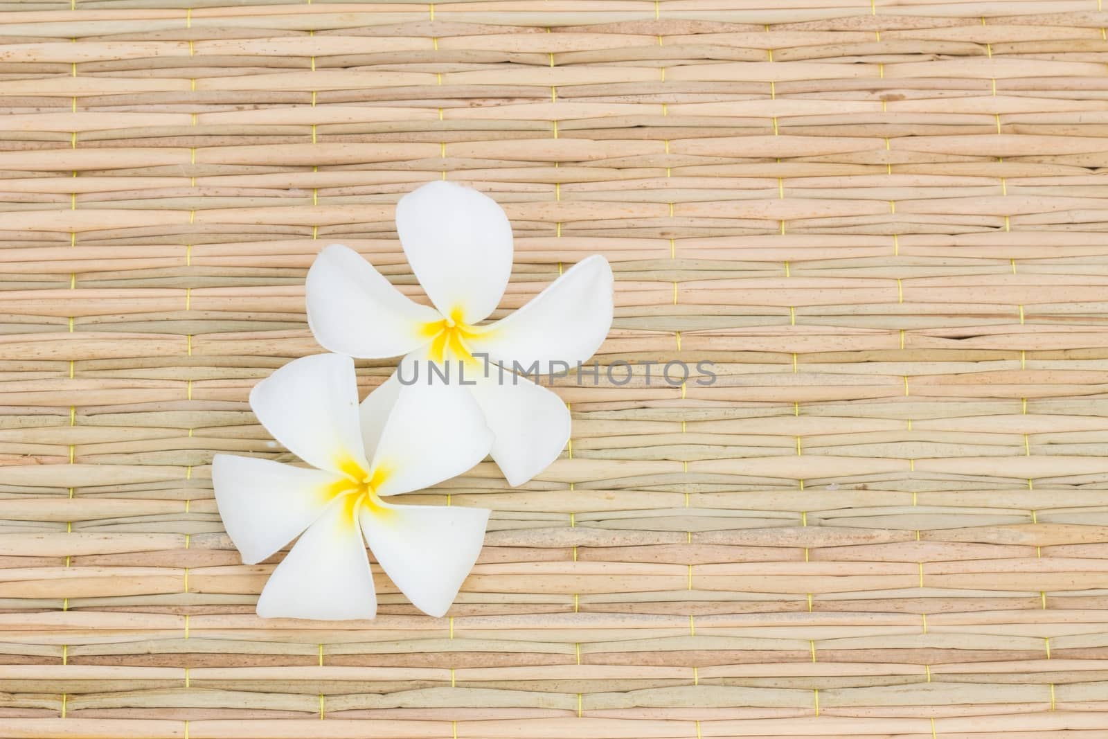 White Plumerias on thai traditional mat