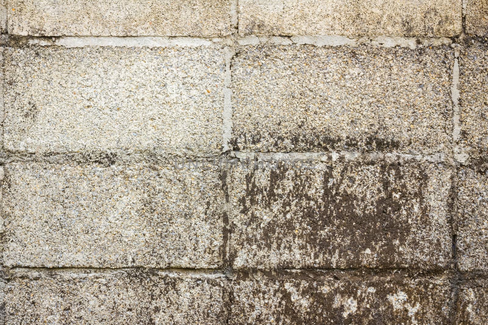 Hollow brick wall with grunge texture, background, close-up