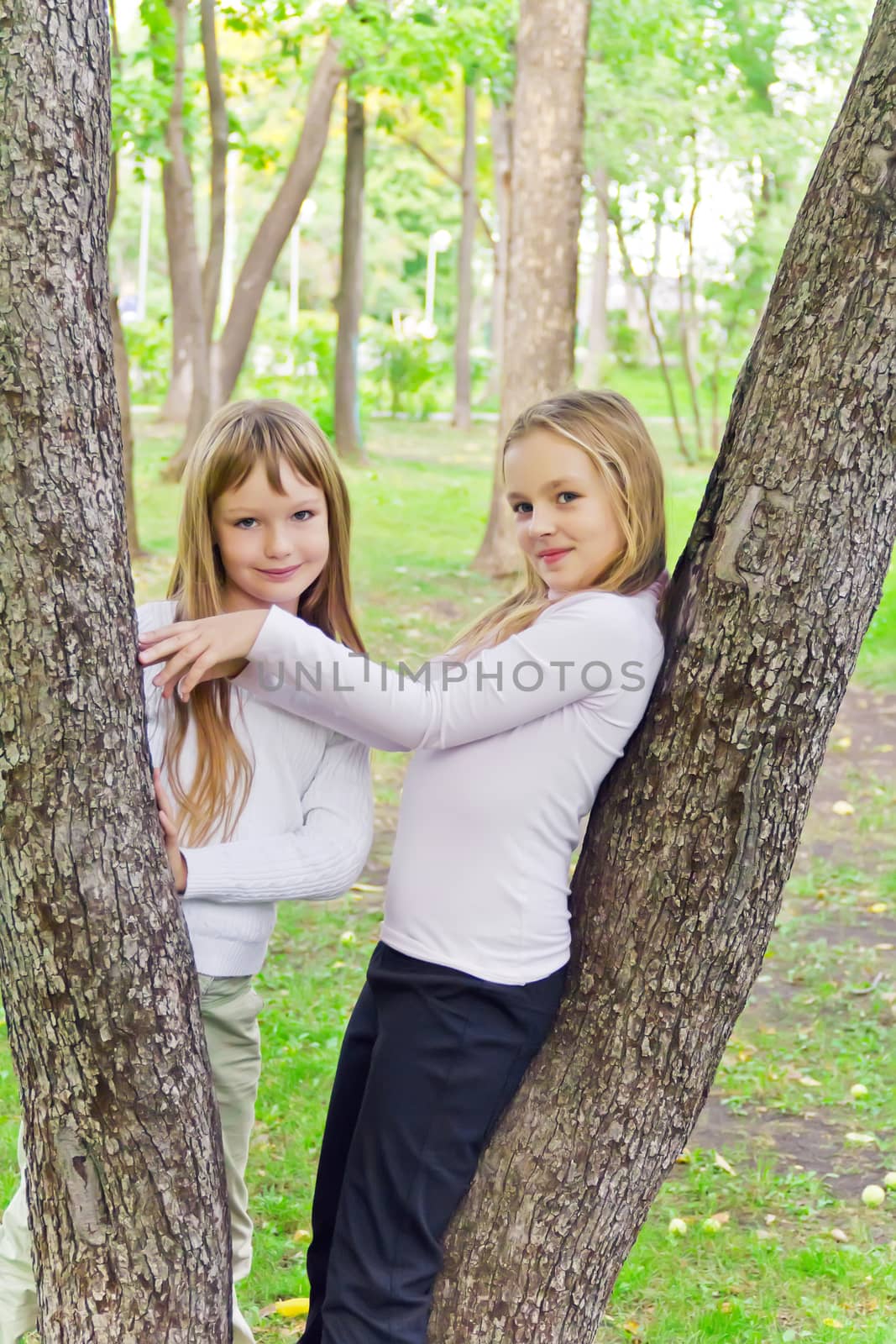 Photo of cute girls in summer sit on tree