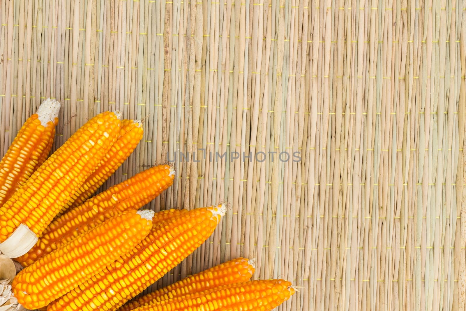 dry corn on the left on thai traditional mat with copyspace on the right, background