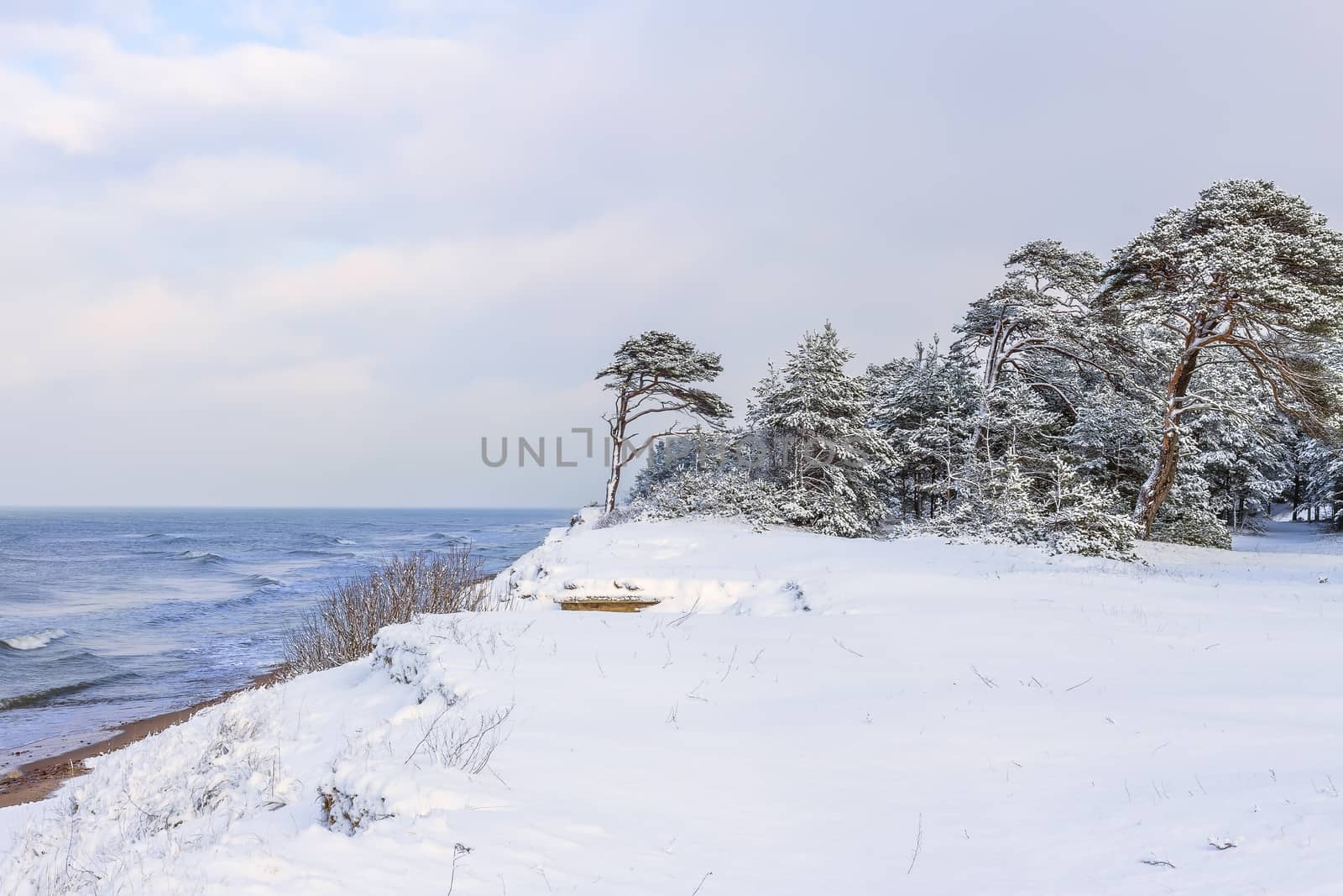 snowy shore of the Baltic Sea in winter,Latvia