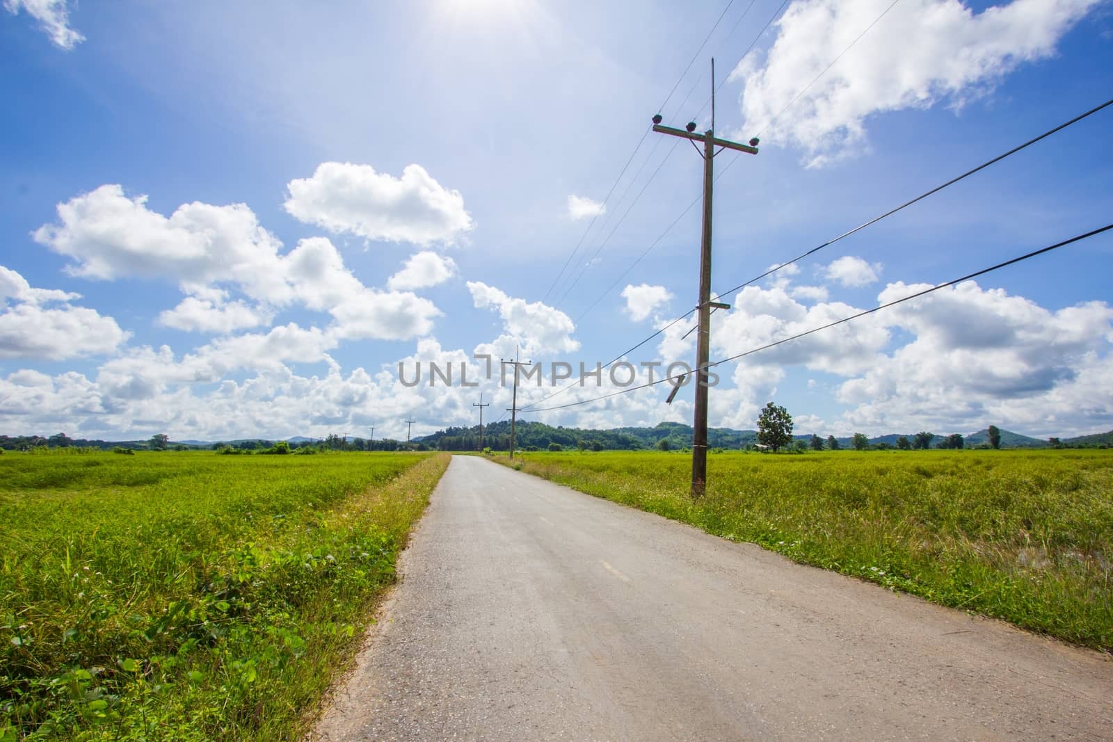 Road through rice fields in Thailand by a3701027