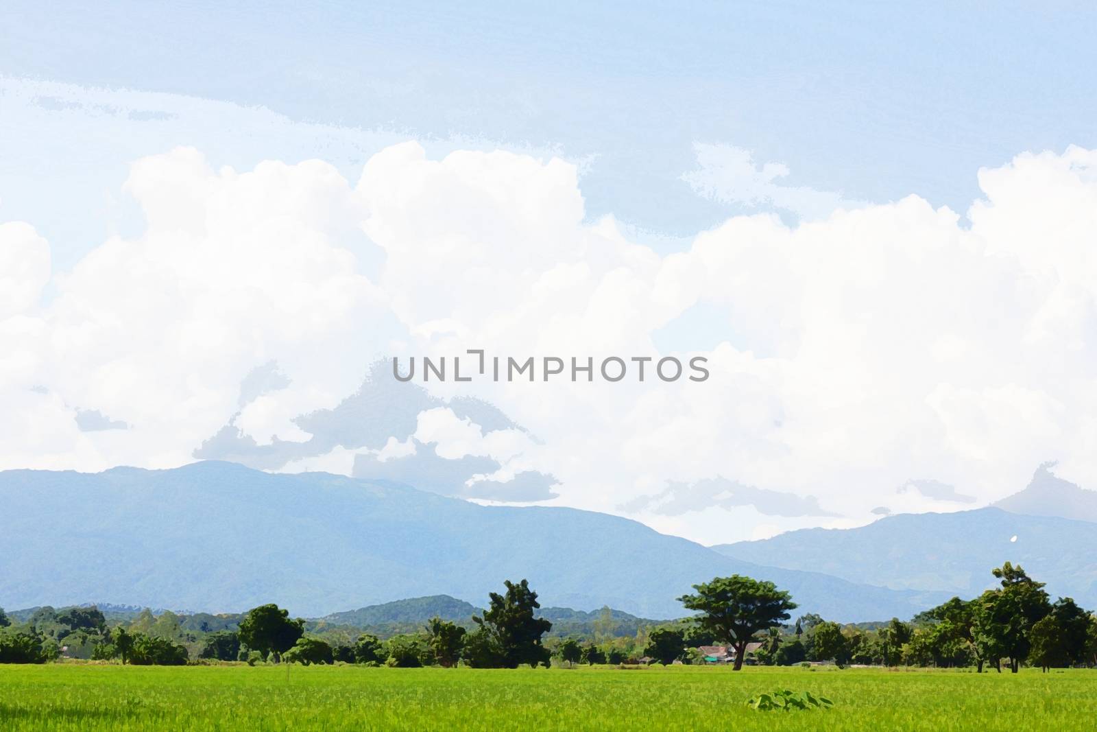 Green Rice Field with Mountains Background under Blue Sky, Chiang Rai, Thailand, watercolor style