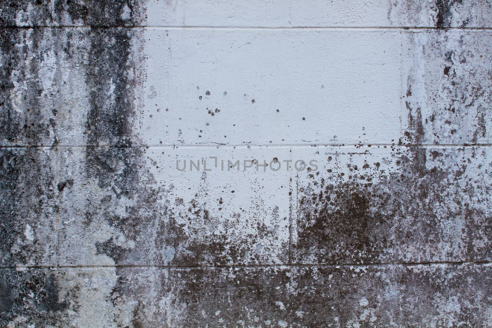 Closeup of grey grunge wall, white space in the middle