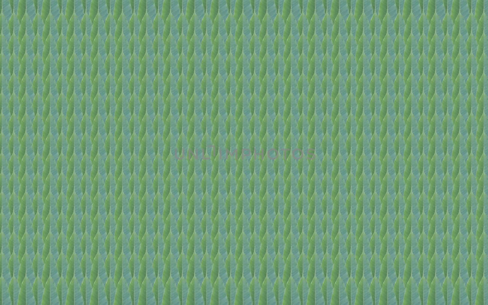 background made of fresh green leaf pattern by a3701027