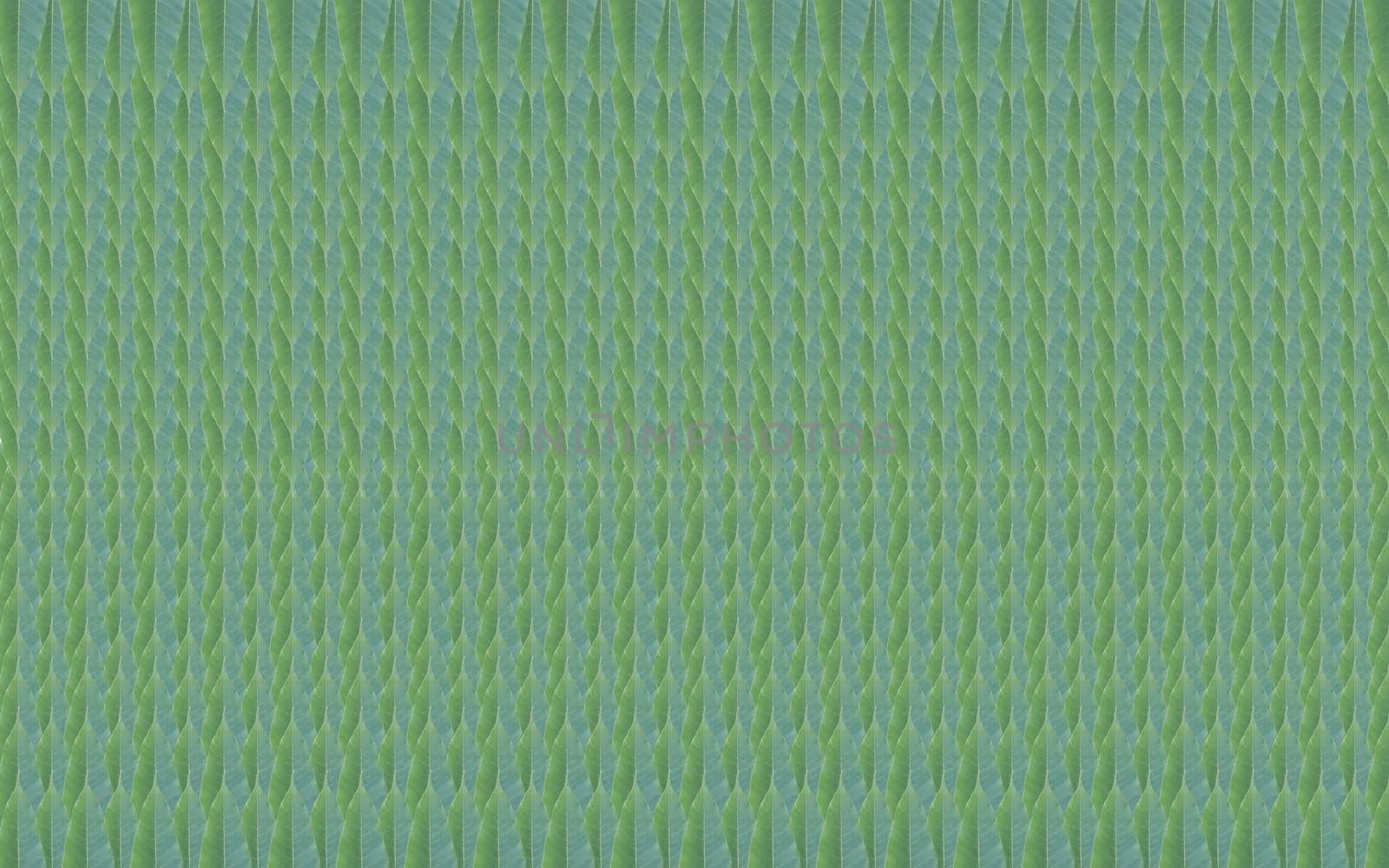 background made of fresh green leaf pattern.