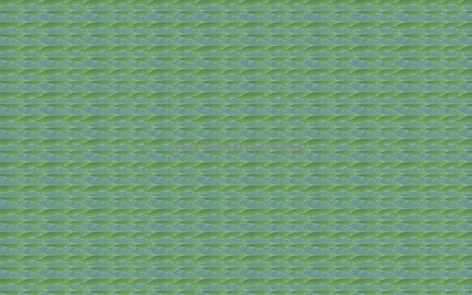 background made of fresh green leaf pattern by a3701027