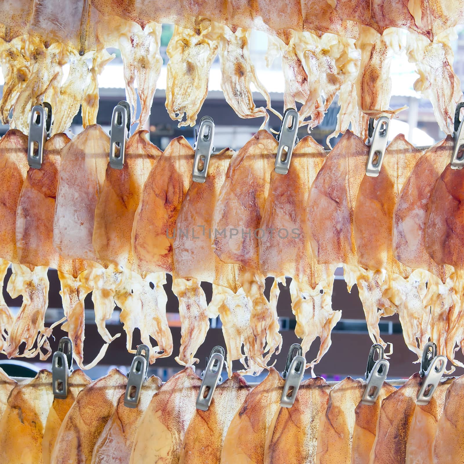 The neatly hanging of dried squid for sale. by art9858