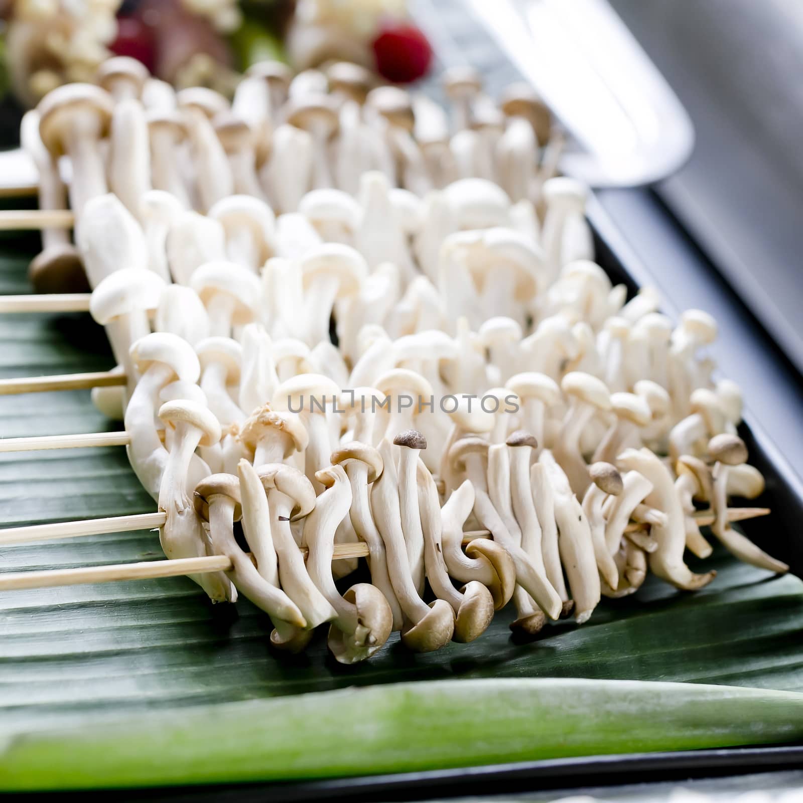 variety of mushrooms skewerd on wooden sticks ready to grilled