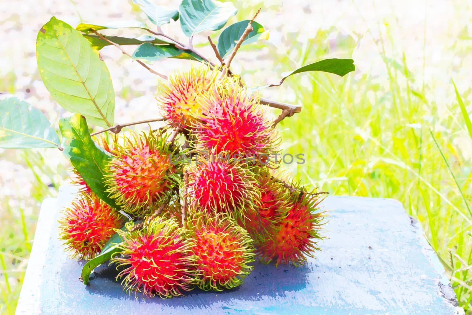 fresh rambutans on blue bench, with copyspace on the right by a3701027