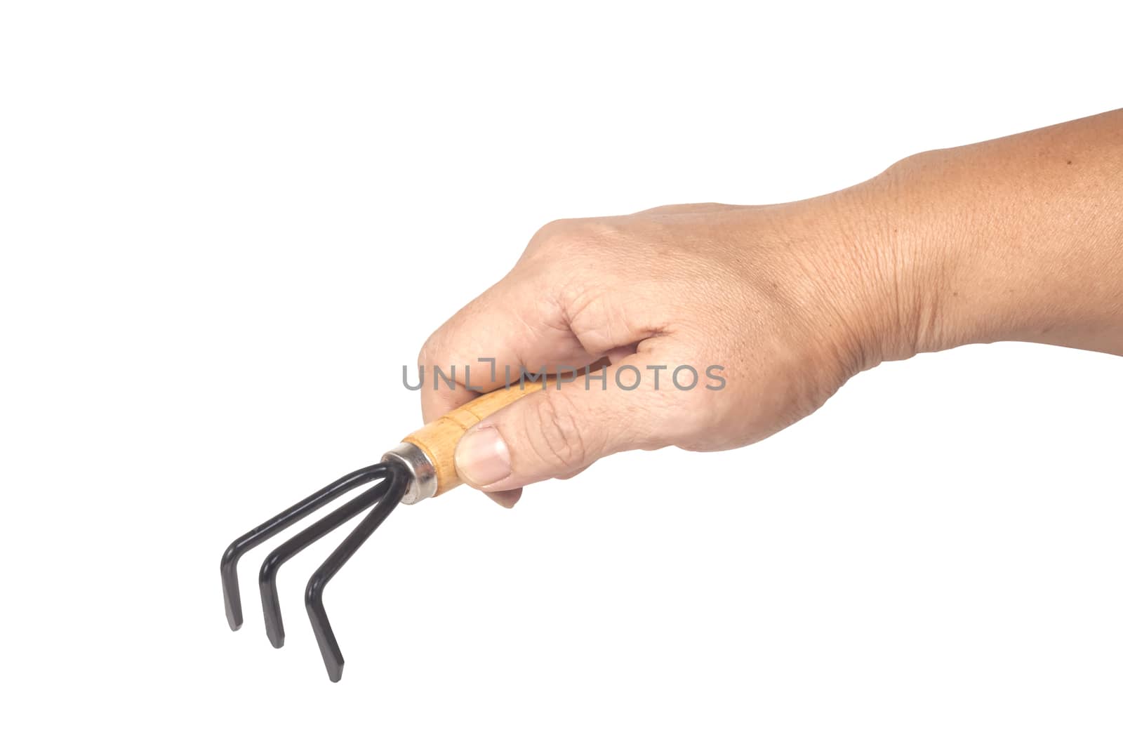 gardening fork trowel lute in hand isolated on 
white background