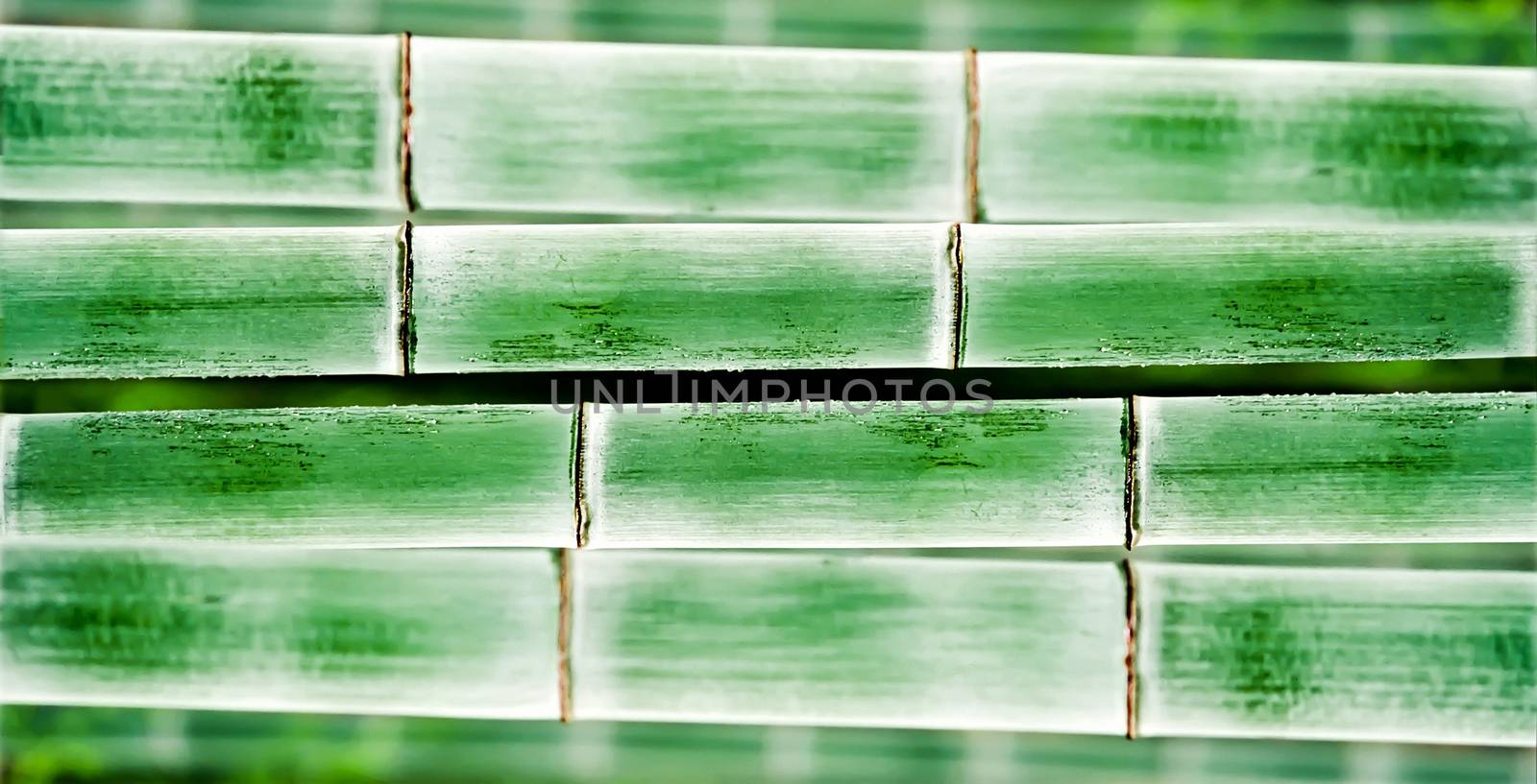 bamboo background or texture