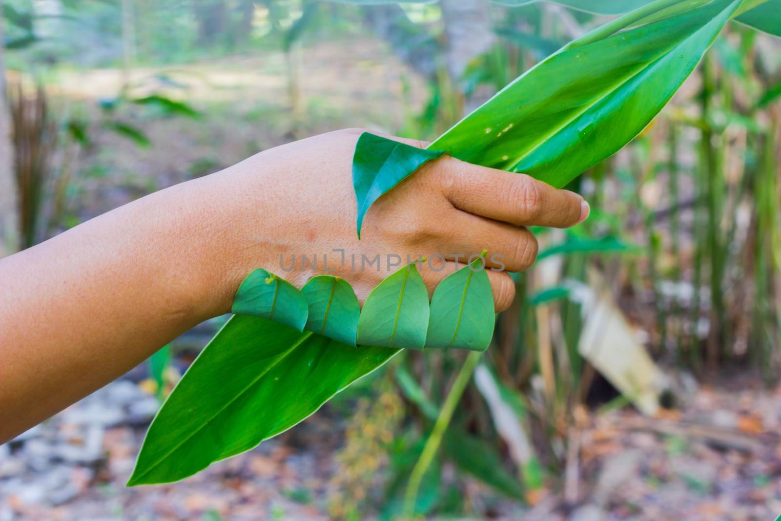 Handshake between human hand and tree. Environment concept