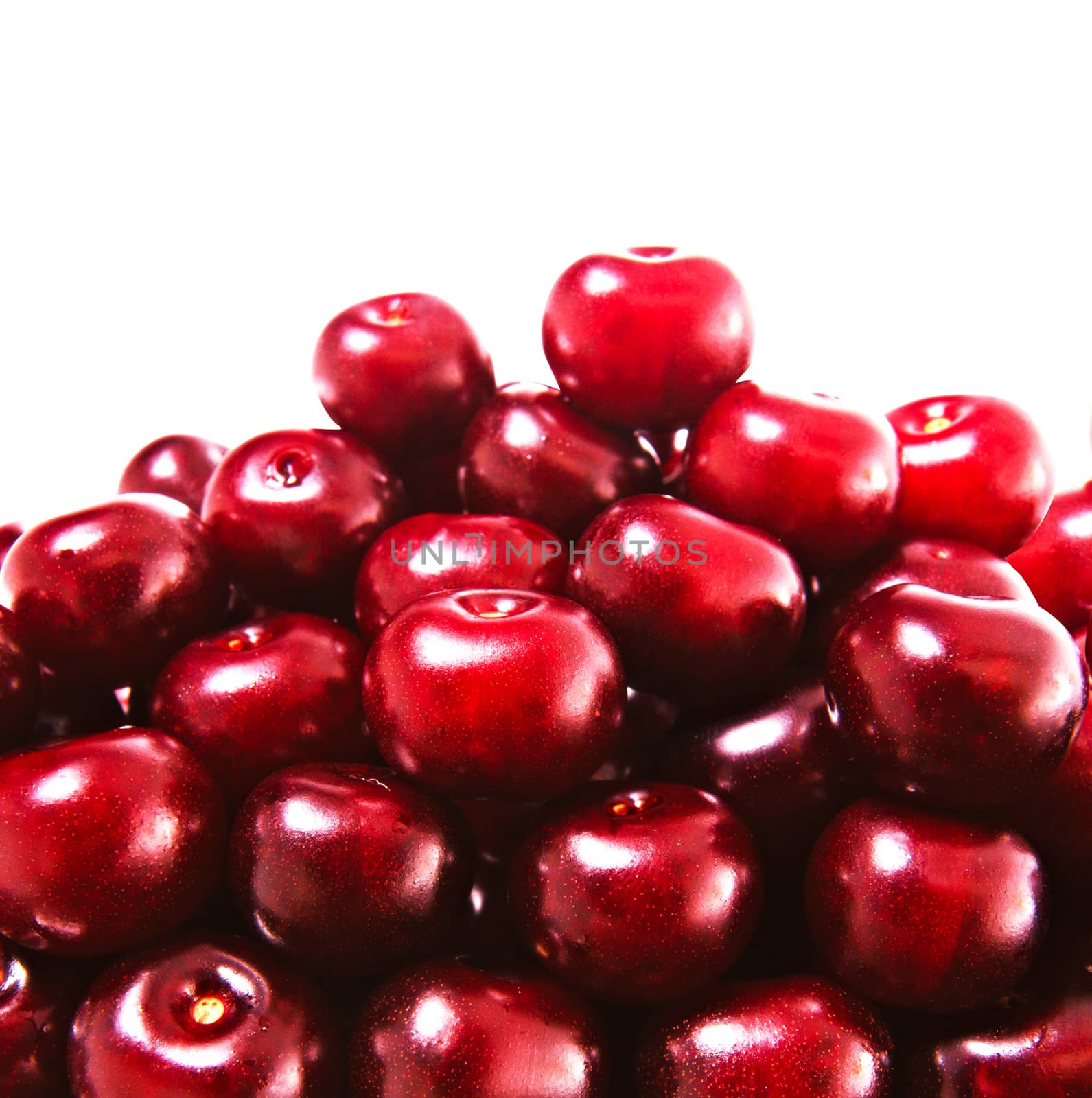 cherry, on a white background