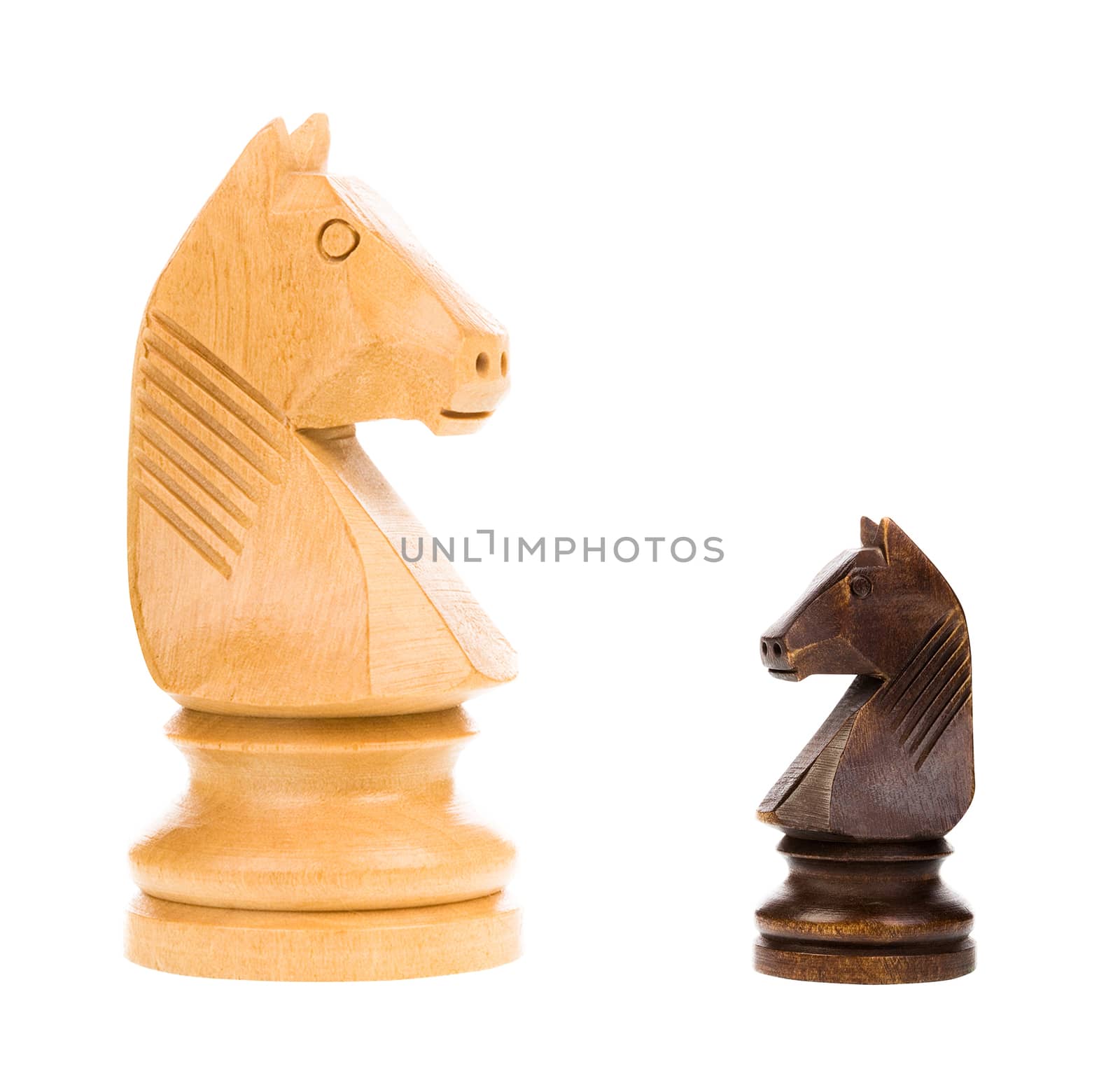 Chess knights isolated on white background - concept